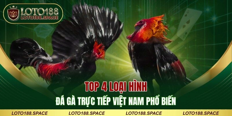 Top 4 loại hình đá gà trực tiếp Việt Nam phổ biến